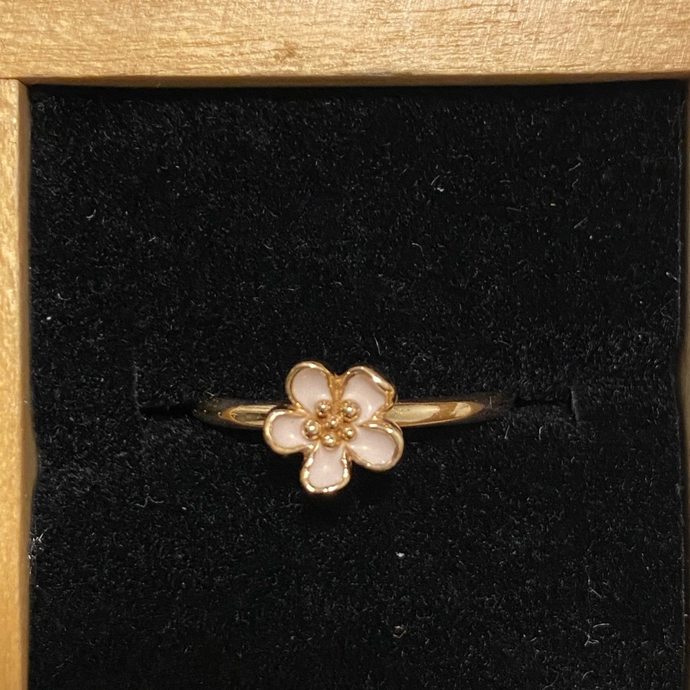 Pandora ring